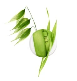 A Derma A-Derma BIOLOGY A-R Trattamento Dermatologico Anti-rossori 40ml -Cosmetici Sconto Negozio aderma a d biology tratt antir 78484 1 3 1638870877