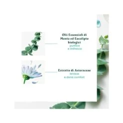 René Furterer Astera Head Spa Concentrato Lenitivo Cuoio Capelluto 50ml -Cosmetici Sconto Negozio astera head spa concentr lenit 985649870 1 6 1689071816