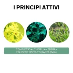 Lierac Phytolastil Soluté Concentrato Gel Correzione Smagliature 75 Ml -Cosmetici Sconto Negozio lierac phytolastil solute siero correzione smagliature 75ml 4 1608593749